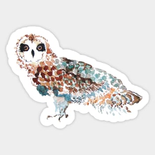 Owl Sticker